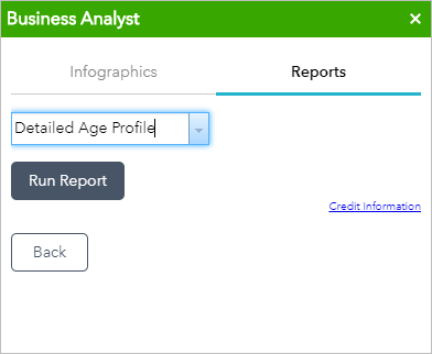 Run Report example Run Report example